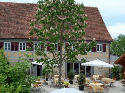Foto: Der Hirschgarten