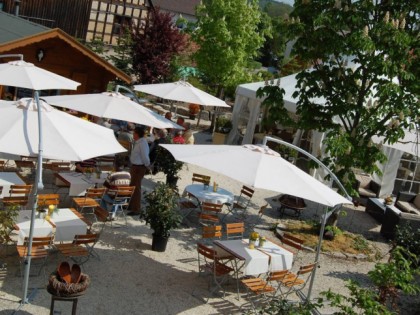 Foto: Der Hirschgarten